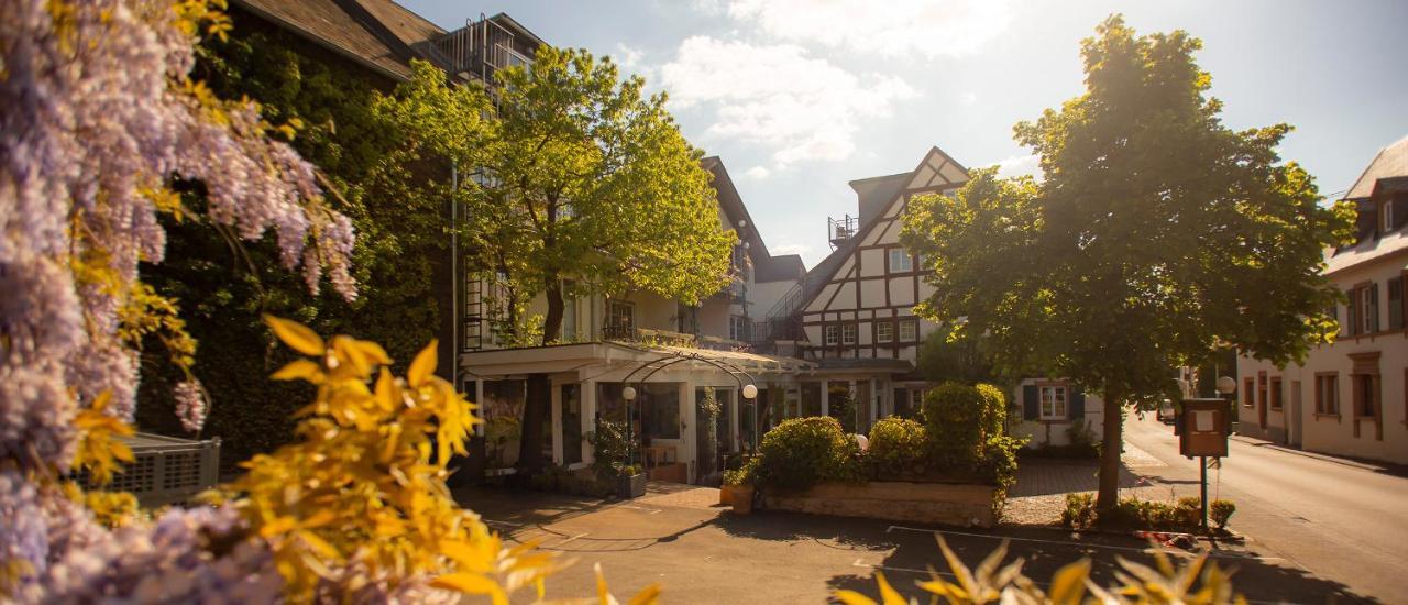 Ferienresidenz Brauneberger Hof Ngoại thất bức ảnh